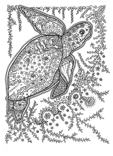 robot check turtle coloring pages adult coloring pages paisley