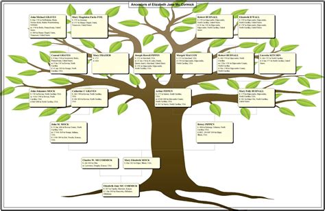 bennights unite  family tree chart