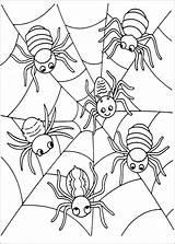 Spinne Malvorlagen Fledermaus Malen Zenideen Kostenlose Färben Kürbis Hausmehr Bluedog Garibimsi Malblatt sketch template
