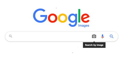 google  search  date professormoli
