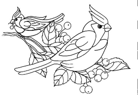 images  printable bird coloring pages preschool