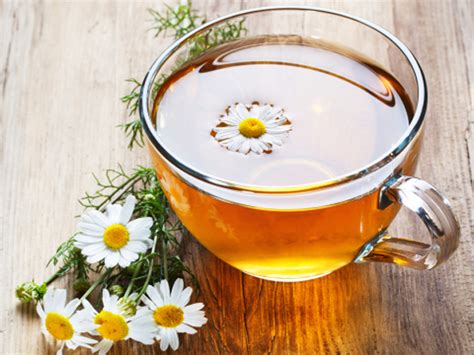 buy chamomile tea benefits side effects    herbal teas
