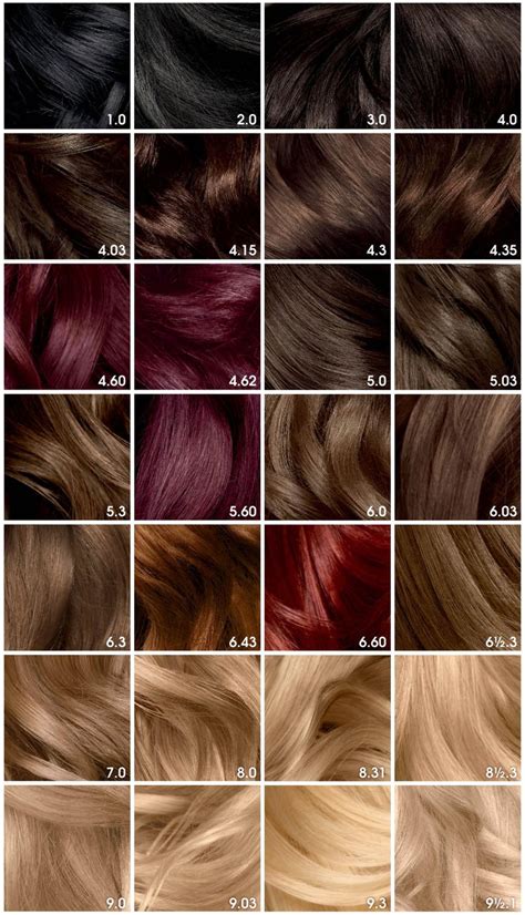 Garnier Olia Oil Powered Permanent Haircolor 3 16 Darkest
