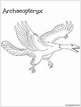Archaeopteryx Pages Dinosaurus Coloring Color Online sketch template