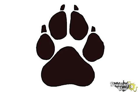 draw  dog paw easy  claudia sketches recommended