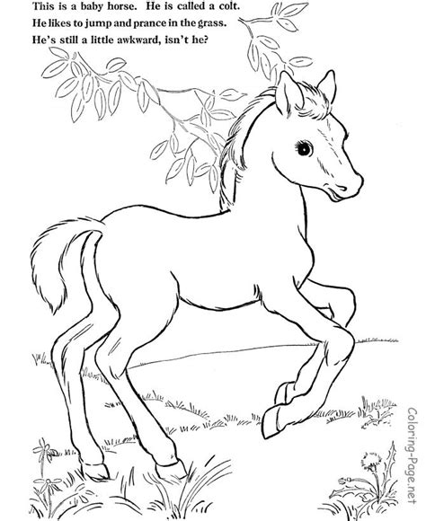 paard kleurplaat vriendelijk jong paard tekenen en kleuren kleurplaat