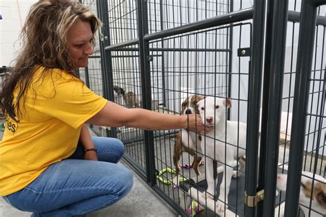 carter county animal shelter expected  pay   news