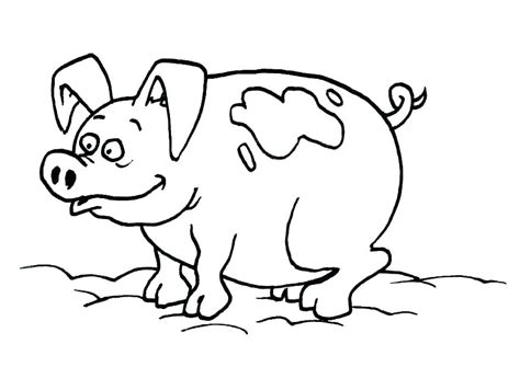 flying pigs coloring pages  getdrawings