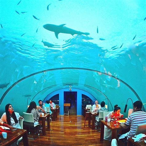 eat at an underwater restaurant the ultimate dating bucket list popsugar australia love and sex
