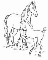 Pferde Ausmalbilder Malvorlagen sketch template