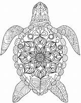 Coloring Pages Mandala Turtle Printable Adult Sea Ocean Dolphin Animal Colouring sketch template