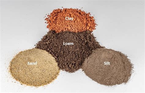 types  soil