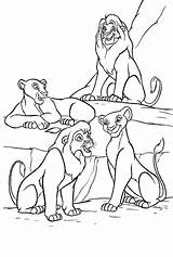 Coloriage Roi Colorare Mewarnai Singa Leone Simba Sheets sketch template