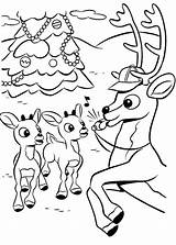 Rudolph Reindeer Nosed Rudolf Renne Rentier Nez Kolorowanki Renifer Babbo Colorat Ausmalbild Roten Nase Comet Kolorowanka Misfit Ausdrucken Nariz Bumble sketch template