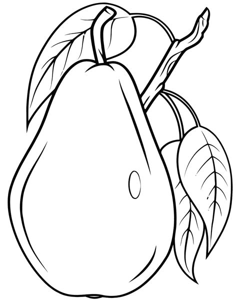 coloring pages pear fruit coloring pages