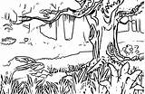 Coloring Landscape Pages Forest Popular sketch template