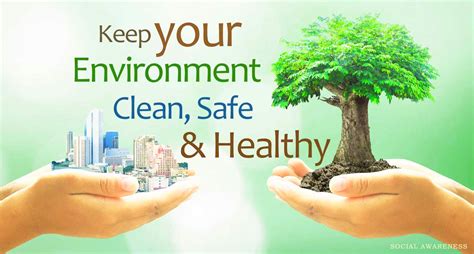 effects   environment   health girgitnews