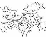 Coloring Baby Birds Pages Bird Nest Kids Tree Outline Mommy Feeding Printable Drawing Lives Cartoon Funny Fun Sheet Colouring Animals sketch template