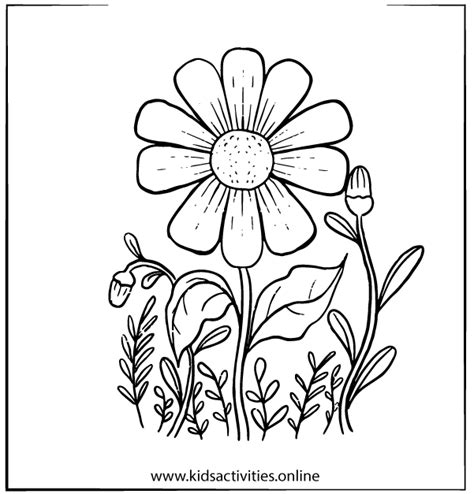 spring flowers coloring pages  adults printable kids activities