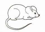 Mouse Template Templates Cute House Colouring Pages Animal Crafts sketch template