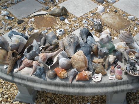 bettys beach finds