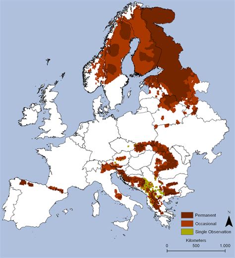 brown bear map rmapporn