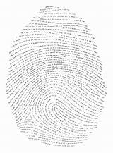 Fingerprint sketch template