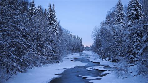 pictures finland winter nature snow forests rivers trees