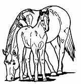 Pony Cheval Poney Shetland Ponys Ponies Coloringpagebook Ancenscp sketch template