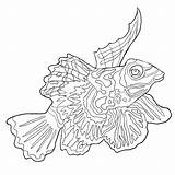 Chinese Illustration Coloring Vector Mandarin Fish Feng Shui Bagua Square Perch Seamless Pattern sketch template