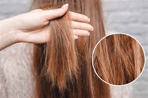 treat damaged hair properly brillare beauty institute