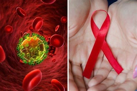 scientists succeed  destroying hiv infected cells suggest