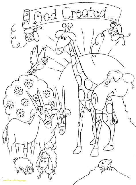 days  creation coloring pages  getdrawings