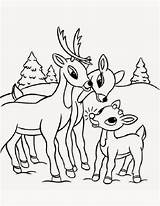 Reindeer Coloring Santa Pages Christmas Santas Filminspector sketch template