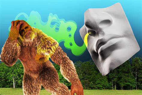 What Does Bigfoot Smell Like Mel Magazine