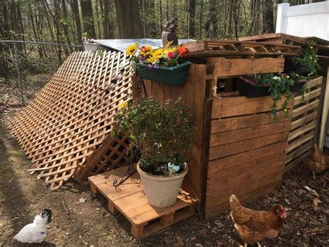 pallet chicken coop projects ideas   build