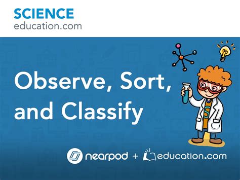 Observe Sort And Classify