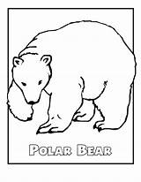 Polar Bear Coloring Pages Color Sheets Animals Arctic Endangered Animal Kids Printable Print Template Alaska Cartoon Bears Species Templates Sheet sketch template