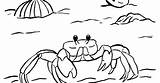 Crab Drawing Coloring Ghost Easy Template Sketch Blue sketch template