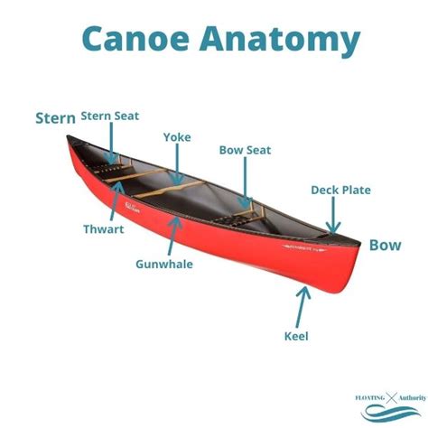 canoe  kayak    differences    choose