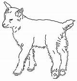 Goats Clips Teacherspayteachers sketch template