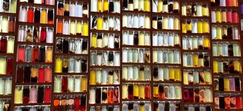coloured glass bottles stock photo image  design