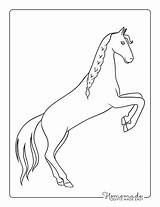 Horse Coloring Pages Simple Printable Outline Rearing Color Easy Kids Printables sketch template