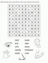 Body Parts Coloring Crossword Word Kids Grid Pages Find Written Below English Activities Puzzle Work Bestcoloringpages Search Puzzles Worksheets Preschool sketch template