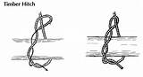 Hitch Timber Knots Knot Pioneering Rope Tie Drawing Scout When Favorite Method Lashing sketch template