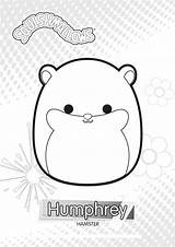 Squishmallows Squishmallow Hamster Humphrey Cuddly Xcolorings sketch template