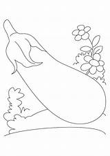 Eggplant Coloring Books Pages sketch template