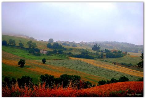 campagna marchigiana   giornata piovosa  nebbiosa sca flickr