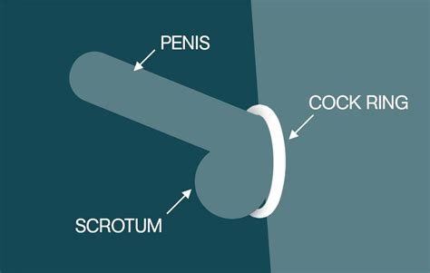 this sex toy helps you get harder last longer and have
