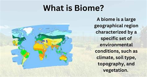 biome definition types examples  importance